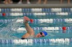 Women's Swimming & Diving  Wheaton College Women’s Swimming & Diving vs Mount Holyoke College. - Photo by Keith Nordstrom : Wheaton, Swimming & Diving